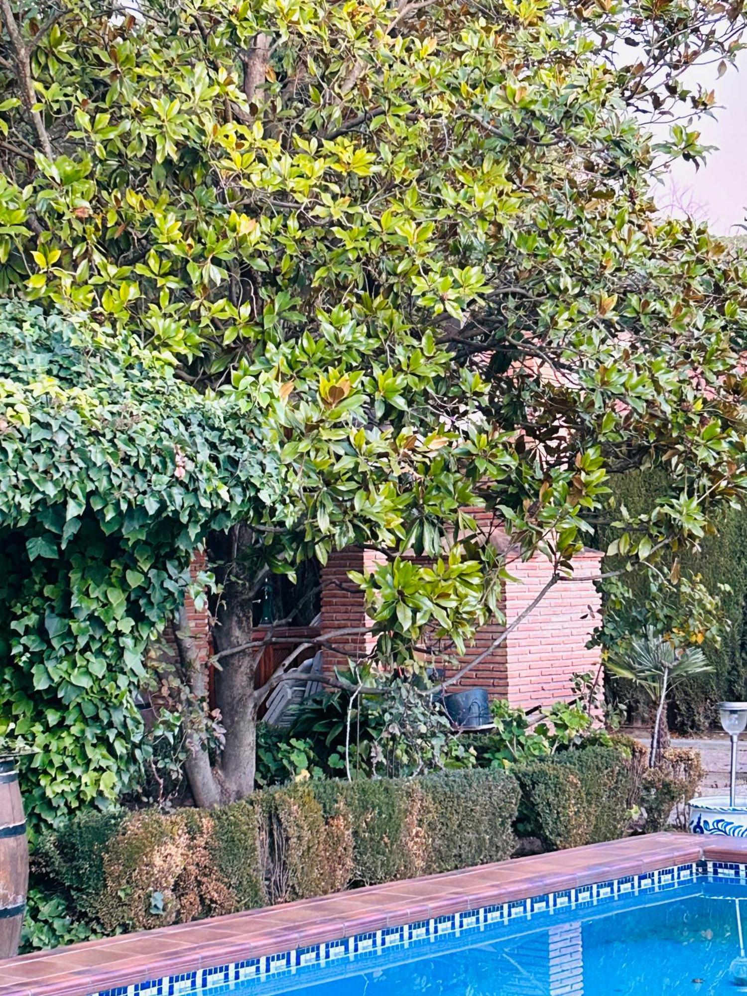 Casa Los Rosales Alfacar Kültér fotó