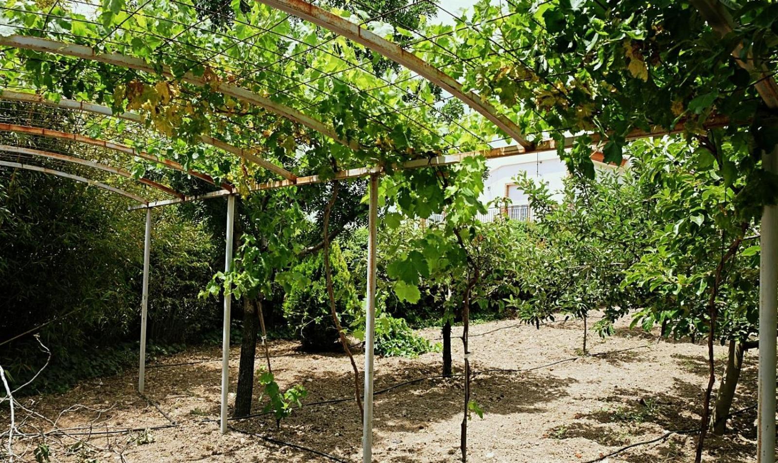 Casa Los Rosales Alfacar Kültér fotó
