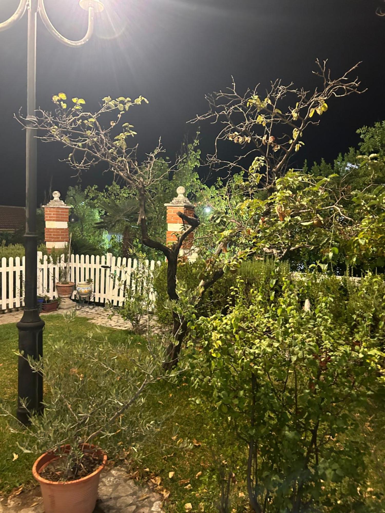 Casa Los Rosales Alfacar Kültér fotó