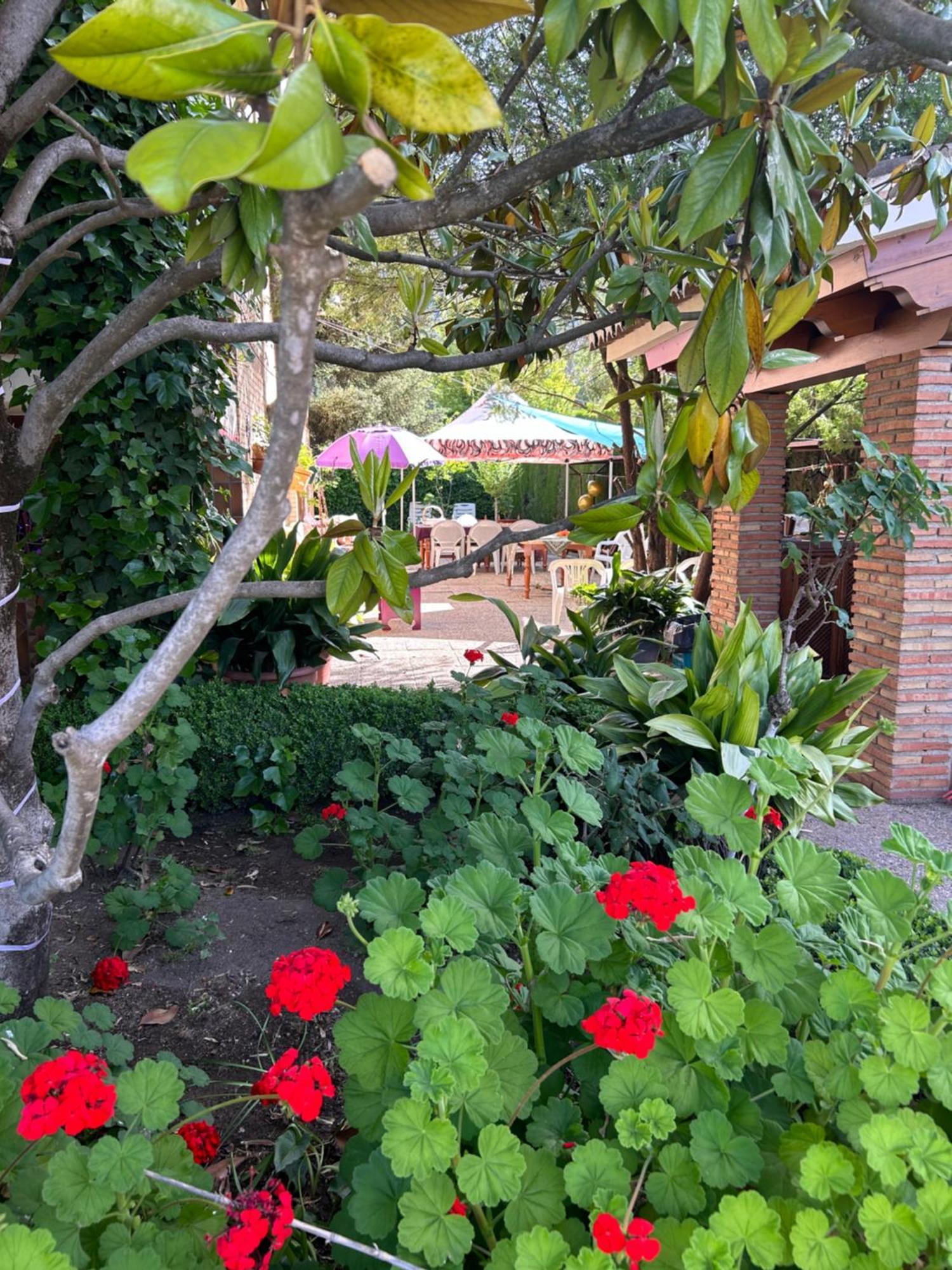 Casa Los Rosales Alfacar Kültér fotó