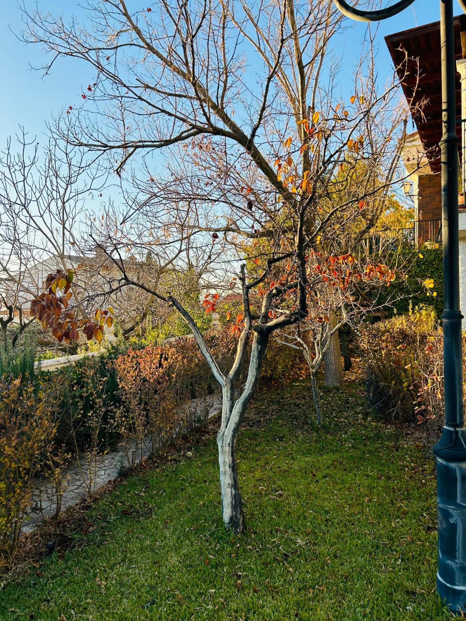 Casa Los Rosales Alfacar Kültér fotó